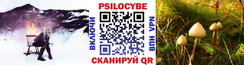 Псилоцибиновые грибы ЛСД  kraken зеркало  Енисейск 